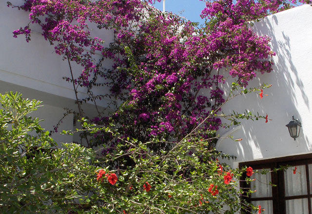 Marianna Hotel Mykonos Town Exterior photo